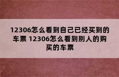 12306怎么看到自己已经买到的车票 12306怎么看到别人的购买的车票